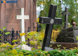 Более 10 тысяч человек потеряла с начала года Воронежская область