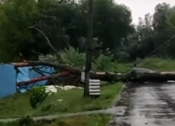 Деревья падали на машины: мощный  ураган прошелся по столице Воронежской области