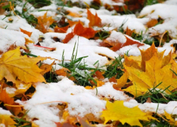 На новой неделе в Борисоглебск придет первый снег