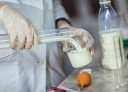 Воронежский «Роспотребнадзор» проверил качество молока в районах области