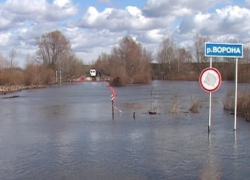 Впервые за 20 лет мост в посёлке Власовка Грибановского района не затопило