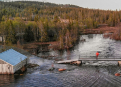 В Воронежской области выявили 1388 участков, находящихся в зоне затопления