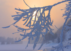 Синоптики предупреждают жителей Воронежской области о  морозах