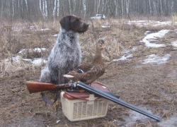 В Воронежской области перенесли начало весеннего сезона охоты
