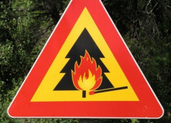 IV класс пожарной опасности установлен в Борисоглебском городском округе и соседних районах. МЧС призывает граждан воздержаться от посещения леса.