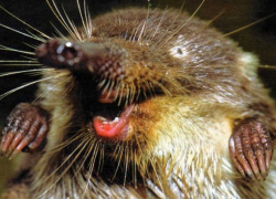 84 года назад был образован Хоперский заповедник  