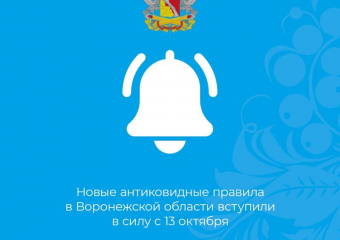 «Цирком» назвали непоследовательные решения властей  жители Воронежской области 