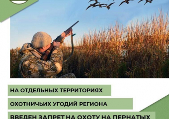 В отдельных охотничьих угодьях Воронежской области запретили стрелять пернатых 