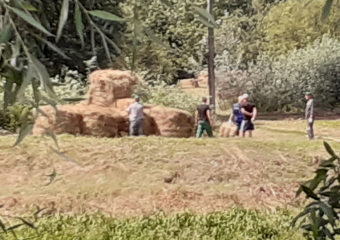  Под Борисоглебском возводят «Князь-Град»
