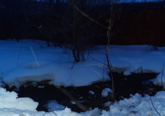 Незаконный фекальный полигон организовали грибановские коммунальщики прямо в поселке