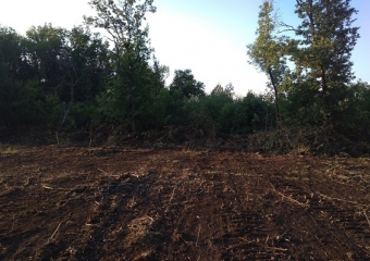 Около 20 га музея-заповедника «Костёнки» сровняли экскаватором