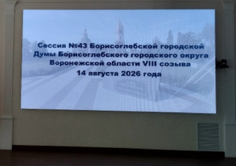 Елена Агаева досрочно сложила полномочия Главы Борисоглебского округа и председателя Думы