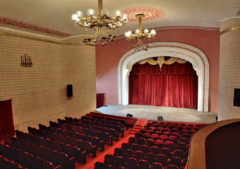 Жители Воронежской области не смогут купить билеты на концерт и в театр вживую