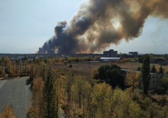 2023 год прошел без крупных лесных пожаров в Воронежской области
