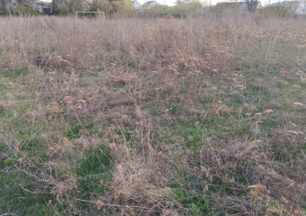 Суд обязал администрацию Борисоглебского округа привести в надлежащее состояние территорию бывшего стадиона «Химмаш»