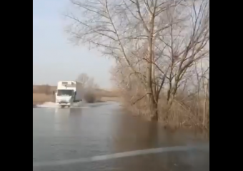 Видео езды по залитой паводком дороге в Воронежской области появилось в сети