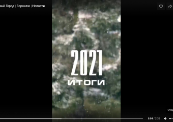  «Елочка нам  нравится…»: непраздничные итоги 2021 года в Воронежской области 