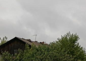 Мокрое и холодное начало рабочей недели пообещали синоптики борисоглебцам