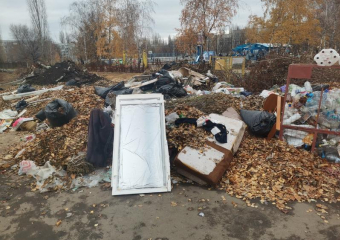 Ул. Аэродромная г. Борисоглебска стала «зоной мусора» : кто виноват?