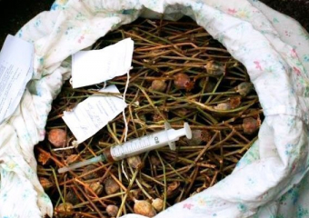 У 37-летнего жителя Борисоглебска полицейские изъяли 225 граммов маковой соломки