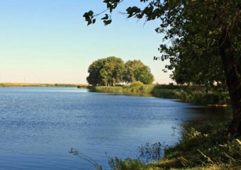 Историю «Пятнадцатого» пруда рассказала пресс-служба администрации Терновского района