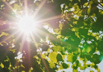 Когда летнее тепло придет в Воронежскую область рассказал главный региональный метеоролог