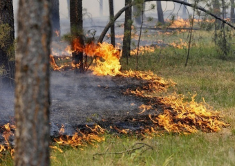 Последний летний месяц станет самым «горячим» для Воронежской области
