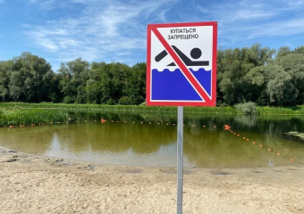 На одном из официальных пляжей Борисоглебска обнаружили холерный вибрион