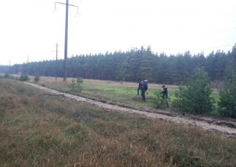 В Борисоглебске «тихая охота» унесла жизни двух грибников за неделю