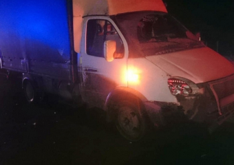 27-летняя женщина погибла под колесами грузовой «Газели» под Борисоглебском