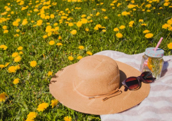 Синоптики дали прогноз на предстоящее лето в Воронежской области