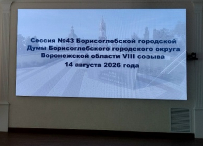 Елена Агаева досрочно сложила полномочия Главы Борисоглебского округа и председателя Думы