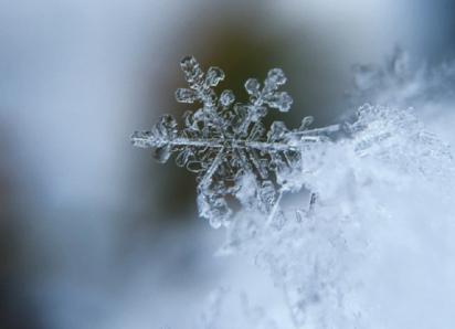 Снегопады, мороз и сильный ветер накроют  Воронежскую область 