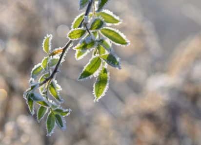 Почему пошёл снег и какую погоду ожидать в последние дни апреля в Воронежской области,  рассказали синоптики