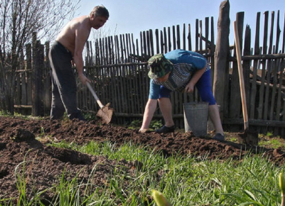 В этом году жителей Воронежской области ждут самые короткие майские праздники