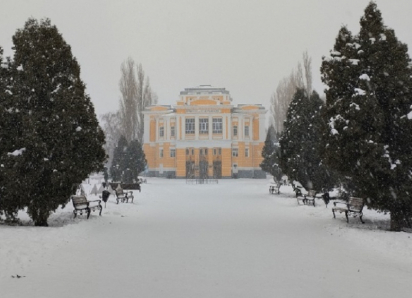 Снегопады накроют Воронежскую область в преддверии Нового года 