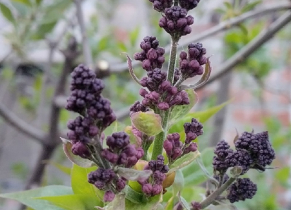 Какой будет погода на майских праздниках в Воронежской области, рассказали синоптики