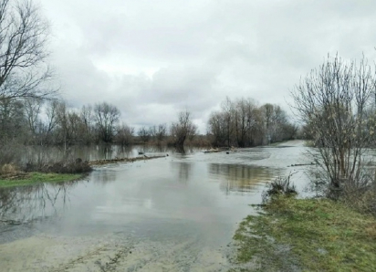 Движение по низководному мосту через Ворону закрыли в Грибановском районе