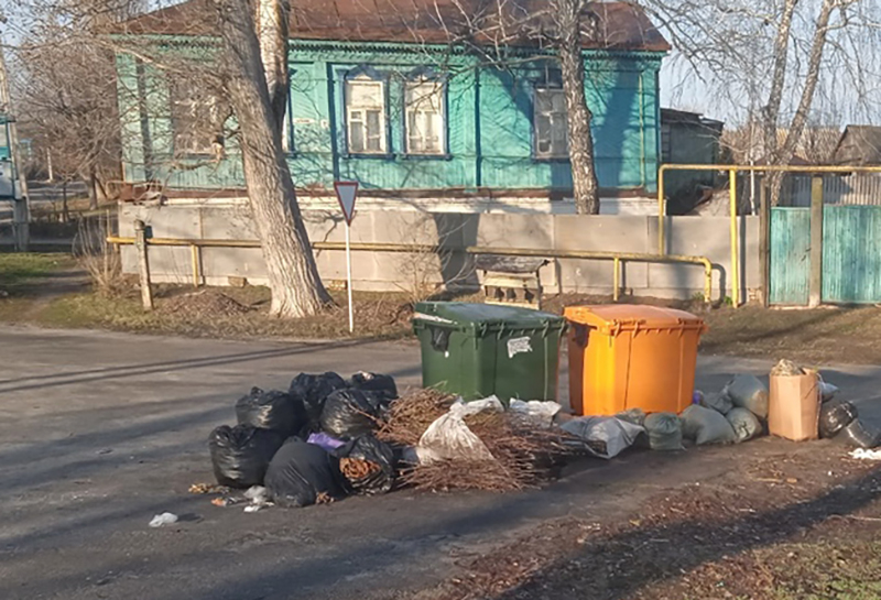 Жителям Воронежской области  пояснили: что делать с  мусором