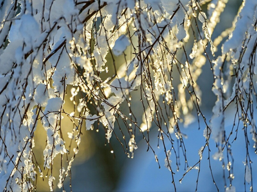 Когда в Воронежскую область придет настоящая весна, рассказали синоптики