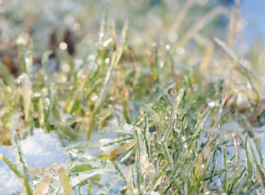 В Воронежской области ожидается потепление до +12