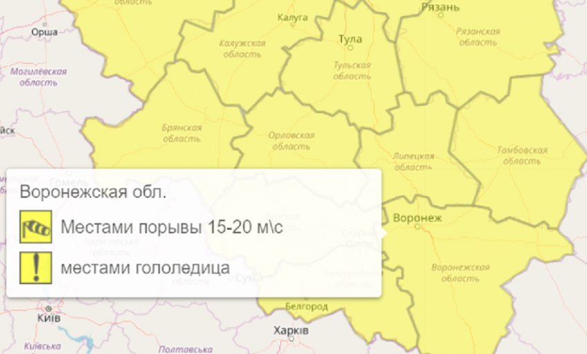 Из-за сильного ветра и гололедицы в Воронежской области объявлен желтый  уровень опасности 