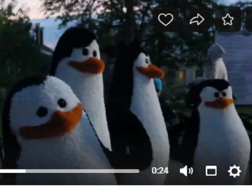 Антироссийскую позицию заняла администрация Борисоглебского округа