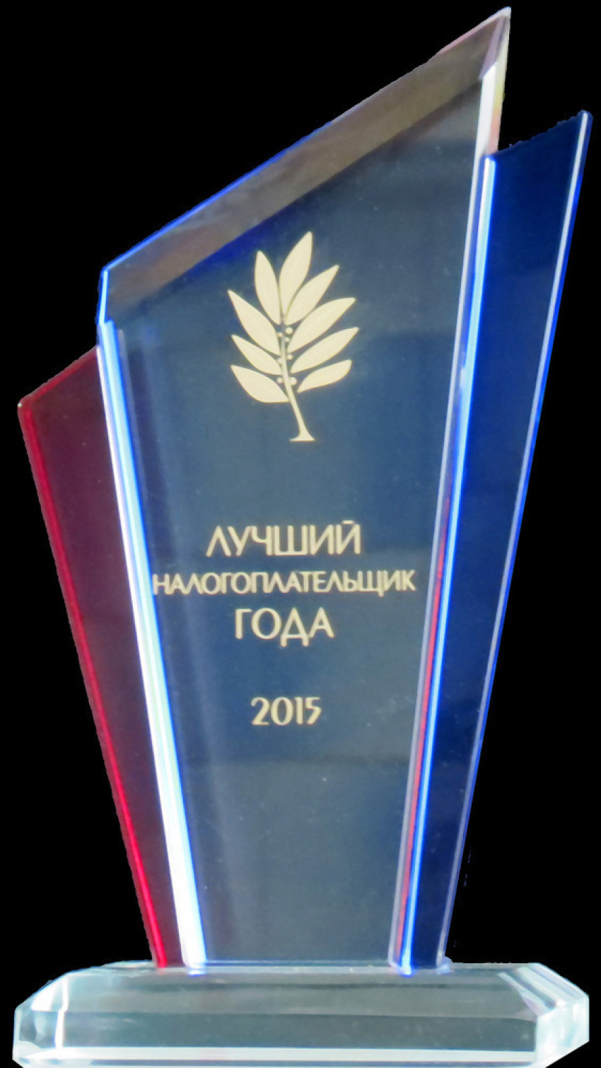 В Борисоглебске подвели итоги конкурса «Лучший налогоплательщик»