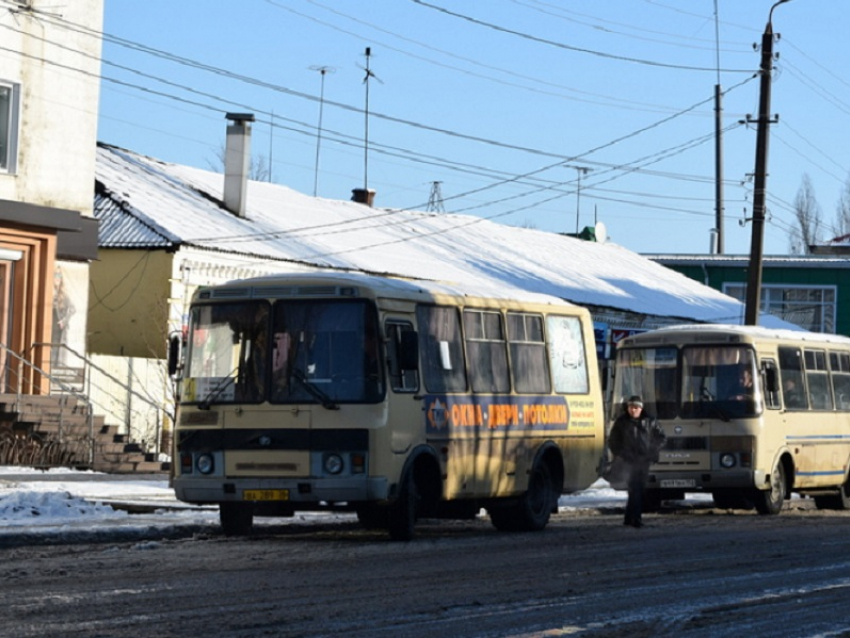 Борисоглебцы могут оценить работу общественного транспорта 