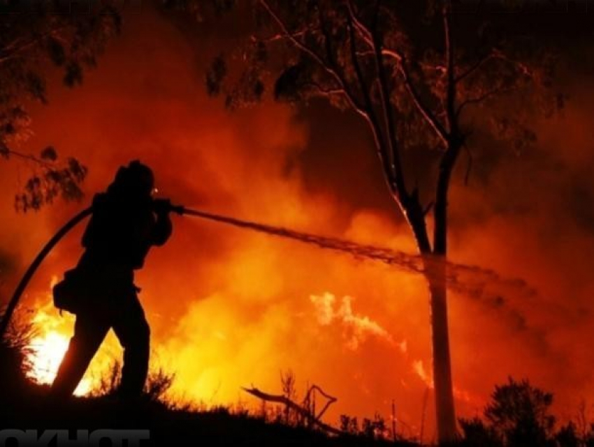 Жителей Воронежской области предупредили о повышенном риске лесных пожаров