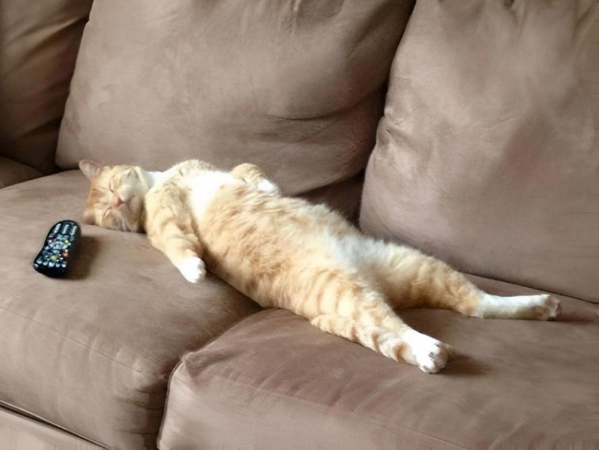 Увеличенные выходные и сокращенная рабочая неделя ожидают россиян в феврале