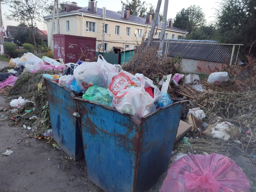 Главный коммунист Борисоглебска отправил в прокуратуру жалобу… на прокурора