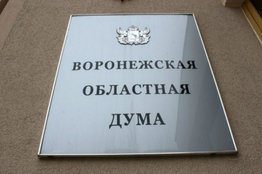 Депутаты Воронежской облдумы продлили меры социальной поддержки в регионе