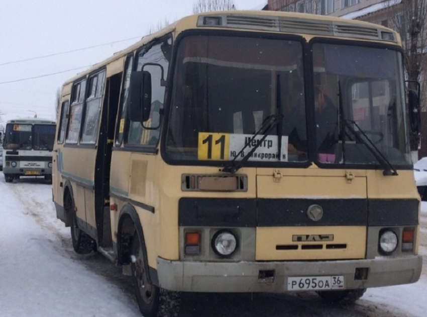 Купить Билет На Автобус Онлайн Воронеж Борисоглебск
